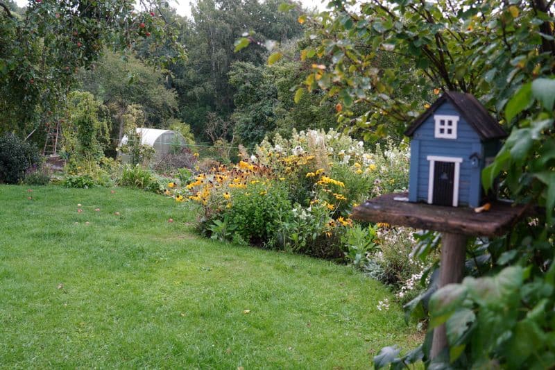 Ein Garten mit grünem Gras, Blumenbeeten, einem blauen Vogelhaus auf einem Pfosten und einem Gewächshaus im Hintergrund, umgeben von Bäumen, schafft eine friedliche Umgebung, die sich perfekt für Coaching-Sitzungen im Freien eignet.