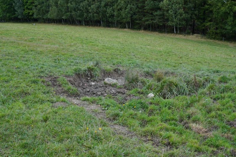 Ein flaches, unebenes Loch mit freiliegender Erde und Steinen auf einer Wiese in der Nähe eines Baumes