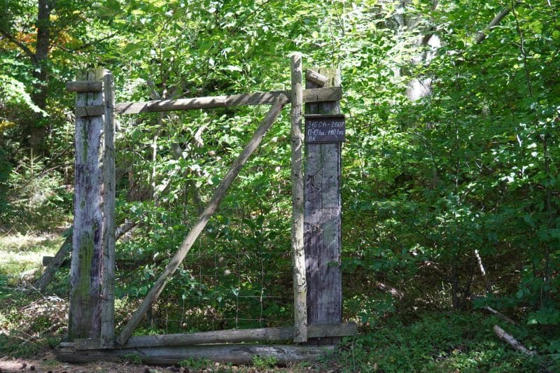 Ein verwittertes Holztor steht offen in einem sonnenbeschienenen Wald, umgeben von grünem Laub. Am oberen rechten Pfosten ist ein kleines Schild angebracht
