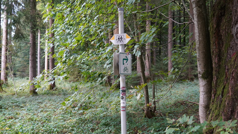 Ich weiß einfach nicht, was ich will – ist das wirklich so?