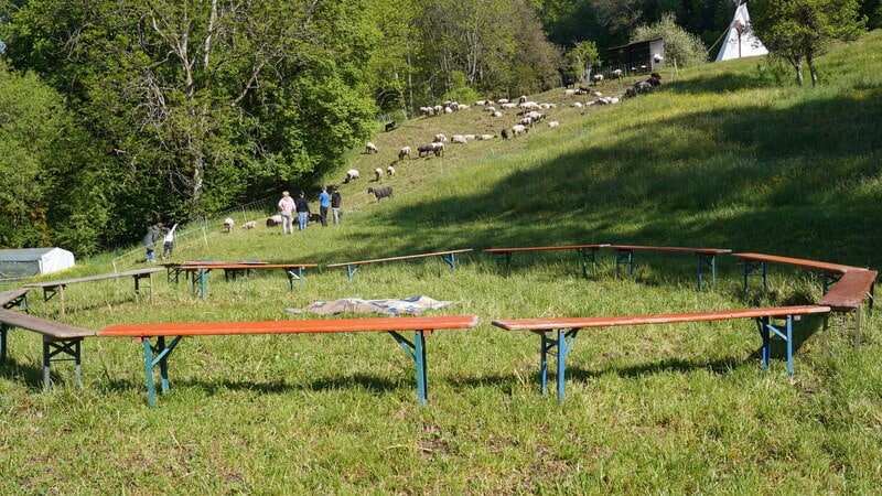 Mehrere Holzbänke stehen kreisförmig auf einer Wiese, Schafe grasen auf einem Hügel und drei Menschen stehen im Hintergrund.